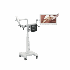 Real Micro VOMS-202D